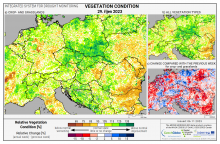 Dopady na vegetaci - Evropa - 29. říjen 2023