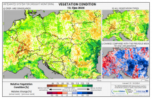 Dopady na vegetaci - Evropa - 13. říjen 2024