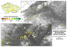 Vegetace trvalých kultur - 26. červen 2016