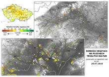 Vegetace trvalých kultur - 29. červenec 2018