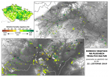 Vegetace trvalých kultur - 22. listopad 2019