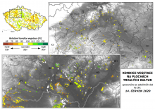 Vegetace trvalých kultur - 14. červen 2020