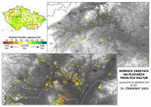 Vegetace trvalých kultur - 31. červenec 2022