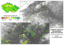 Vegetace trvalých kultur - 12. květen 2024